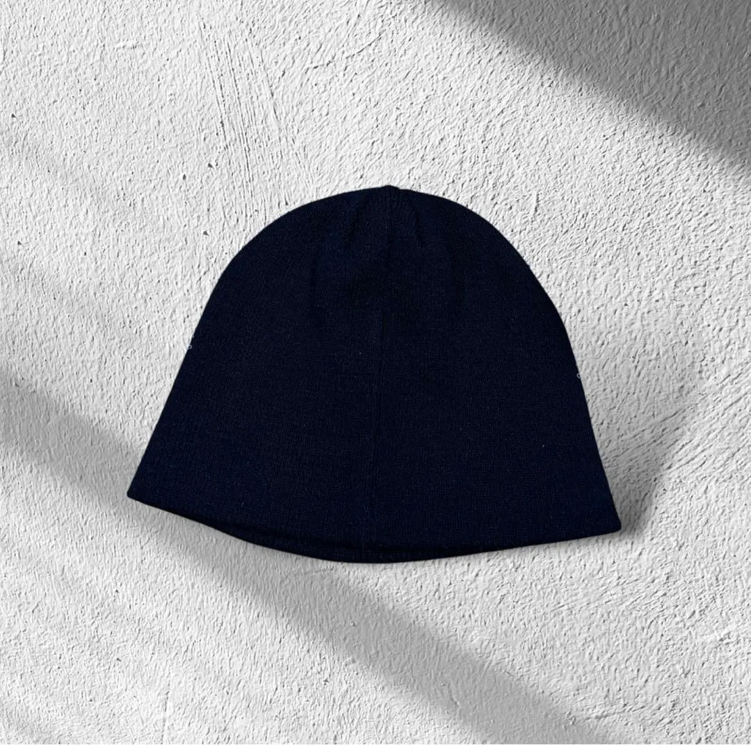 ✅00s y2k archive eagle beanie cap black