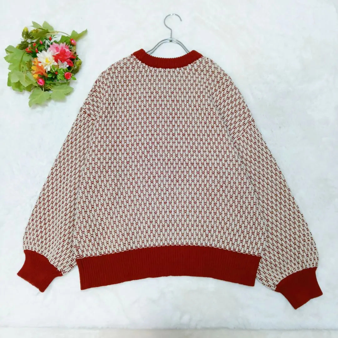 RAGEBLUE Tops (F) Knit Sweater Red/Cream F Size Loose