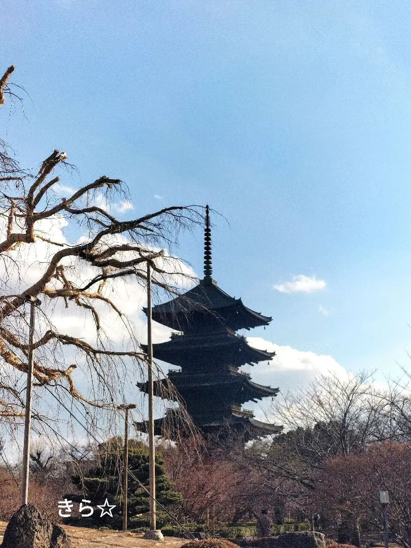 ❀Templo Toji de Kyoto❀ Serpiente amuleto Kaifeng Zodiac Waterkin Suzu