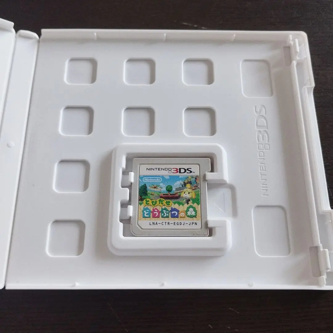 3DS: Outing Animal Crossing: New Horizons 3DS/2DS console-only Animal Crossing Switch masterpiece