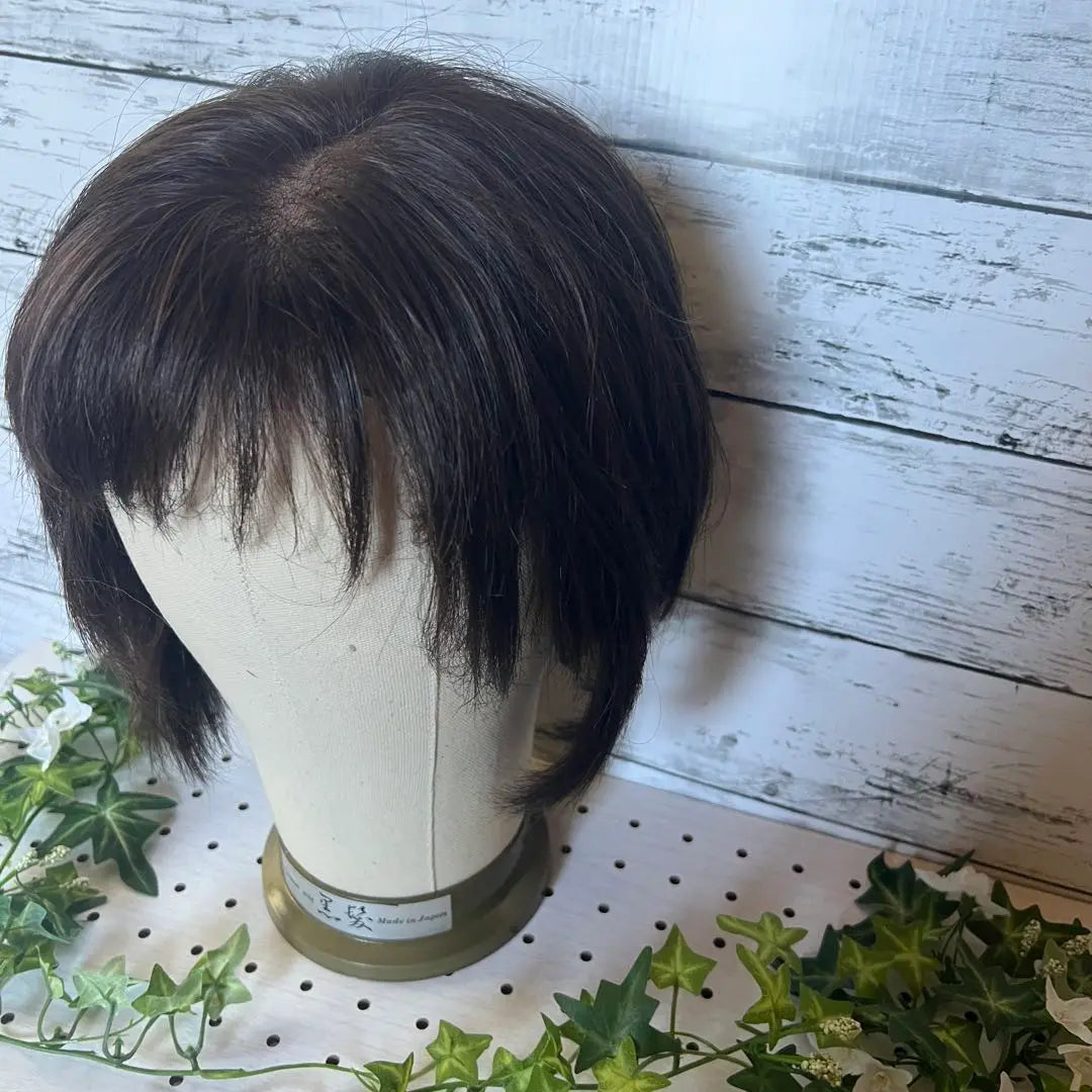 High-quality medical wig, human hair, brown short wig, Svenson, priced at 280,000 yen