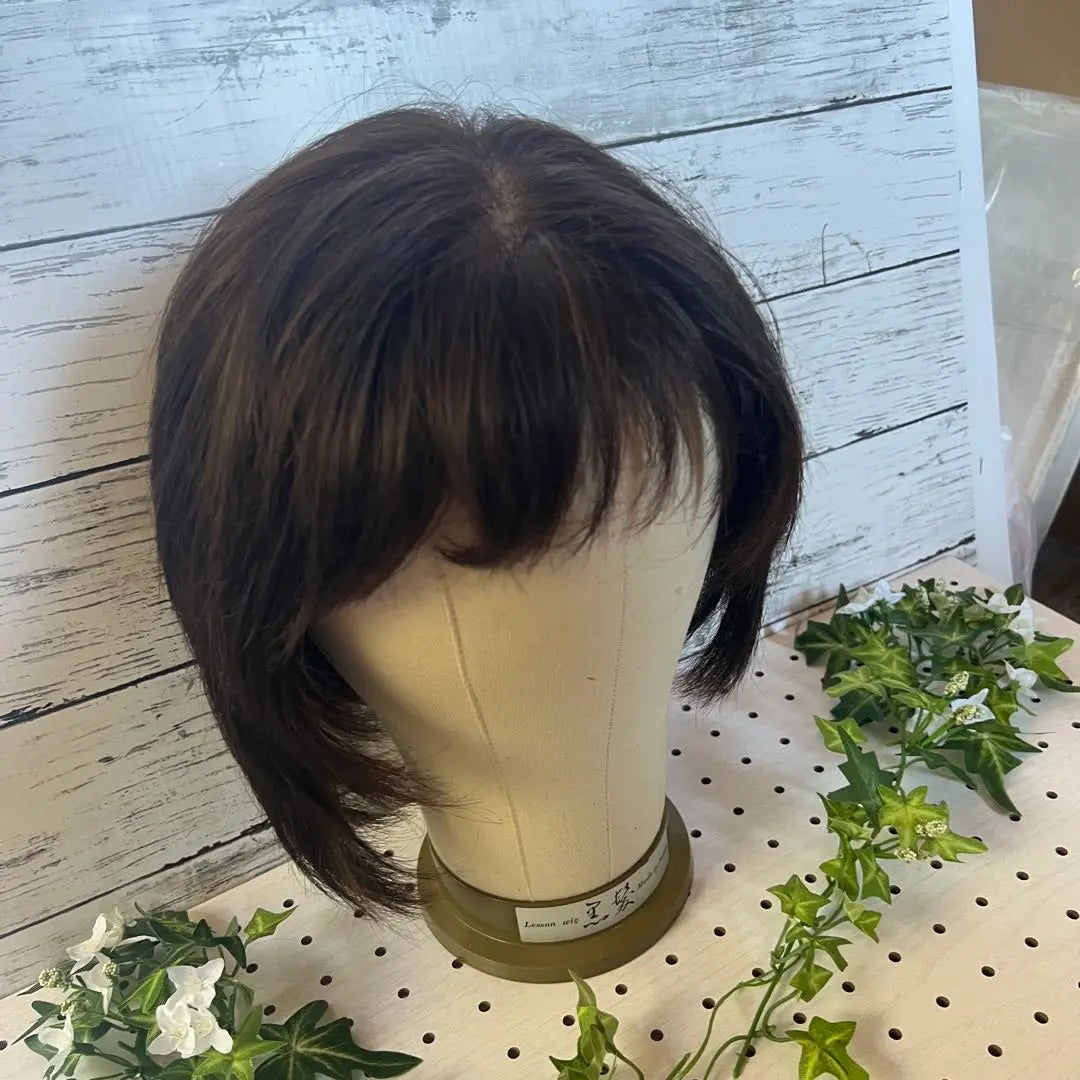 High-quality medical wig, human hair, brown short wig, Svenson, priced at 280,000 yen