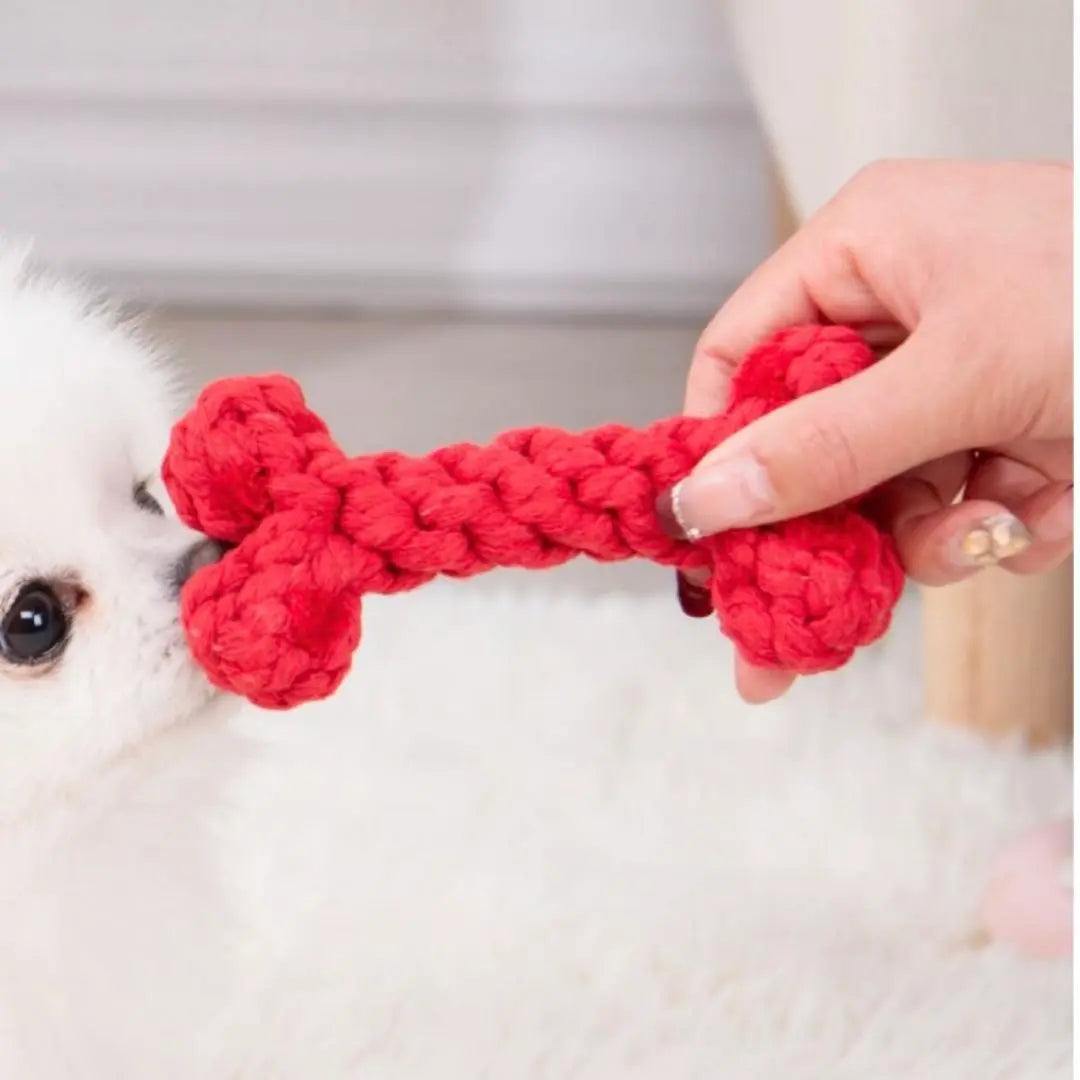 Dog Toys ❤️ Set of 2 Red Heart Bone Shape Rope Pet Toys Tearscal | 犬用おもちゃ ❤️ 2個セット 赤 ハート 骨型 ロープ ペット おもちゃ 歯石