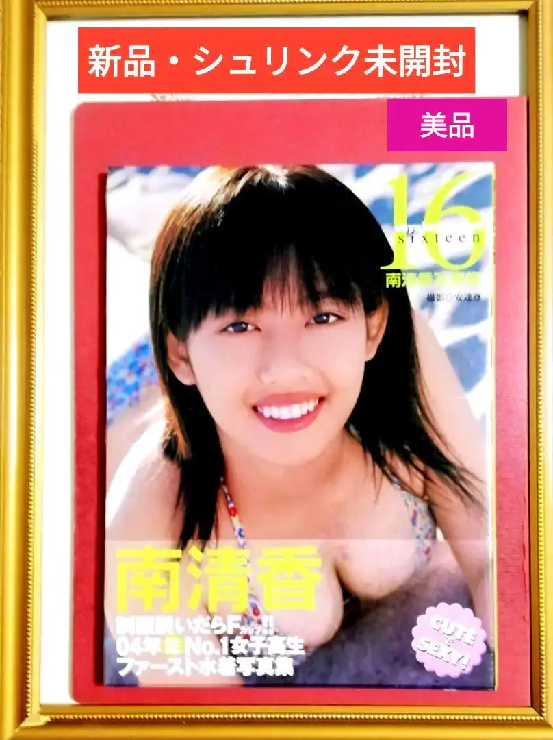 [New, unopened shrink] Minami Seika Photo Collection