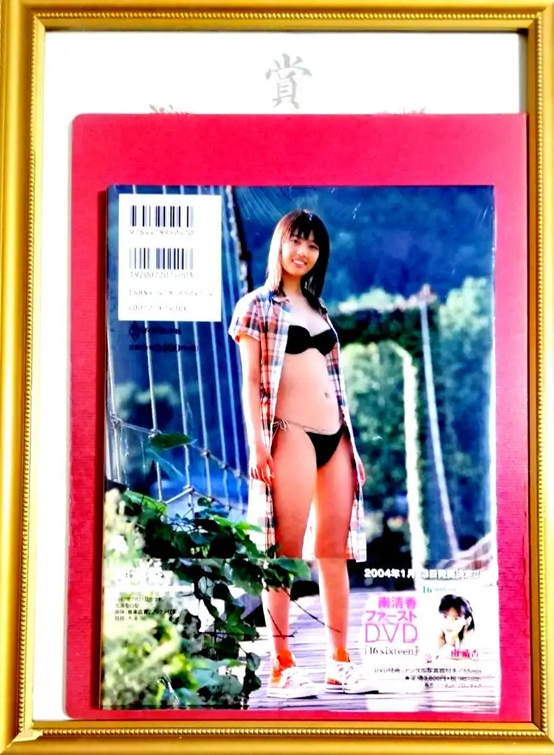 [New, unopened shrink] Minami Seika Photo Collection