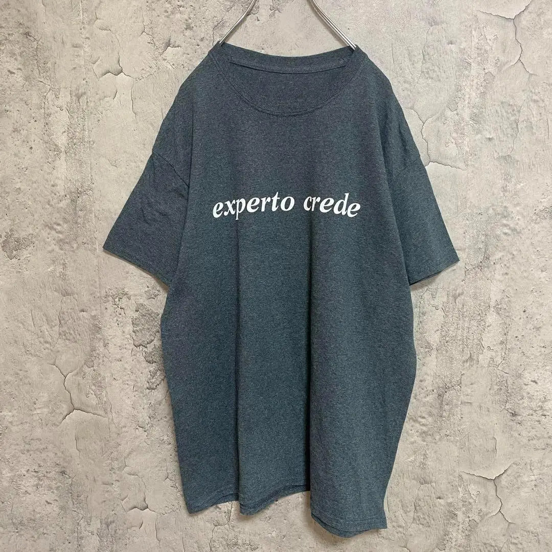 Oldwear America Imported English Character Box Logo Print T -shirt Short sleeve gray | 古着 アメリカ輸入 英文字 ボックスロゴ プリント Tシャツ 半袖 グレー