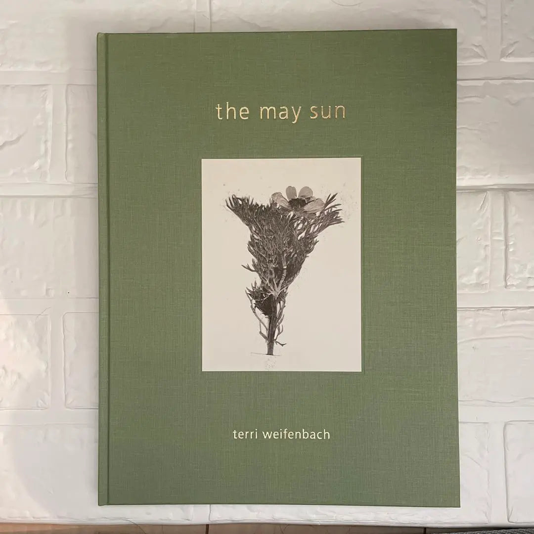 [Rare book] Terri Weifenbach photo book "The May Sun" autographed