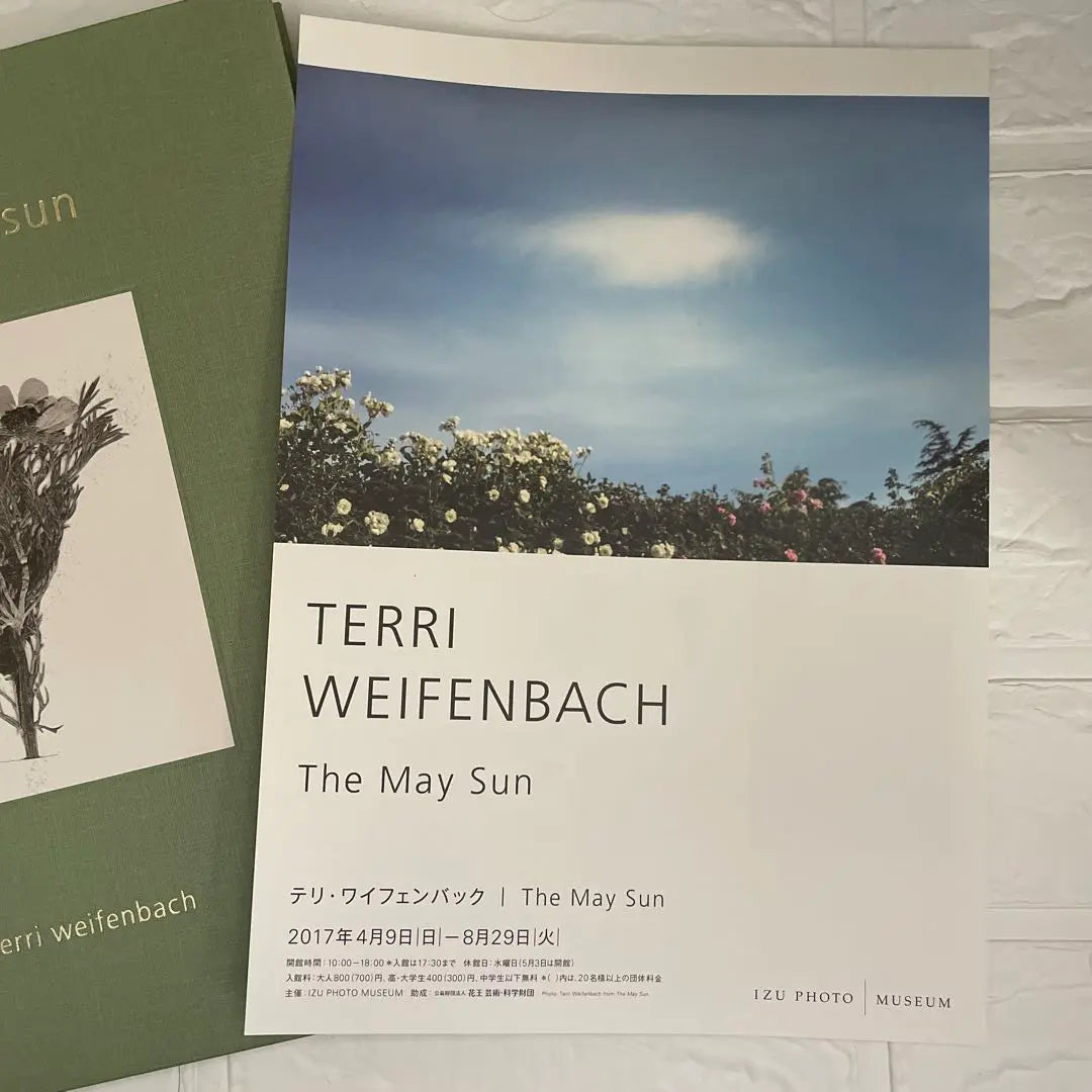 [Rare book] Terri Weifenbach photo book "The May Sun" autographed