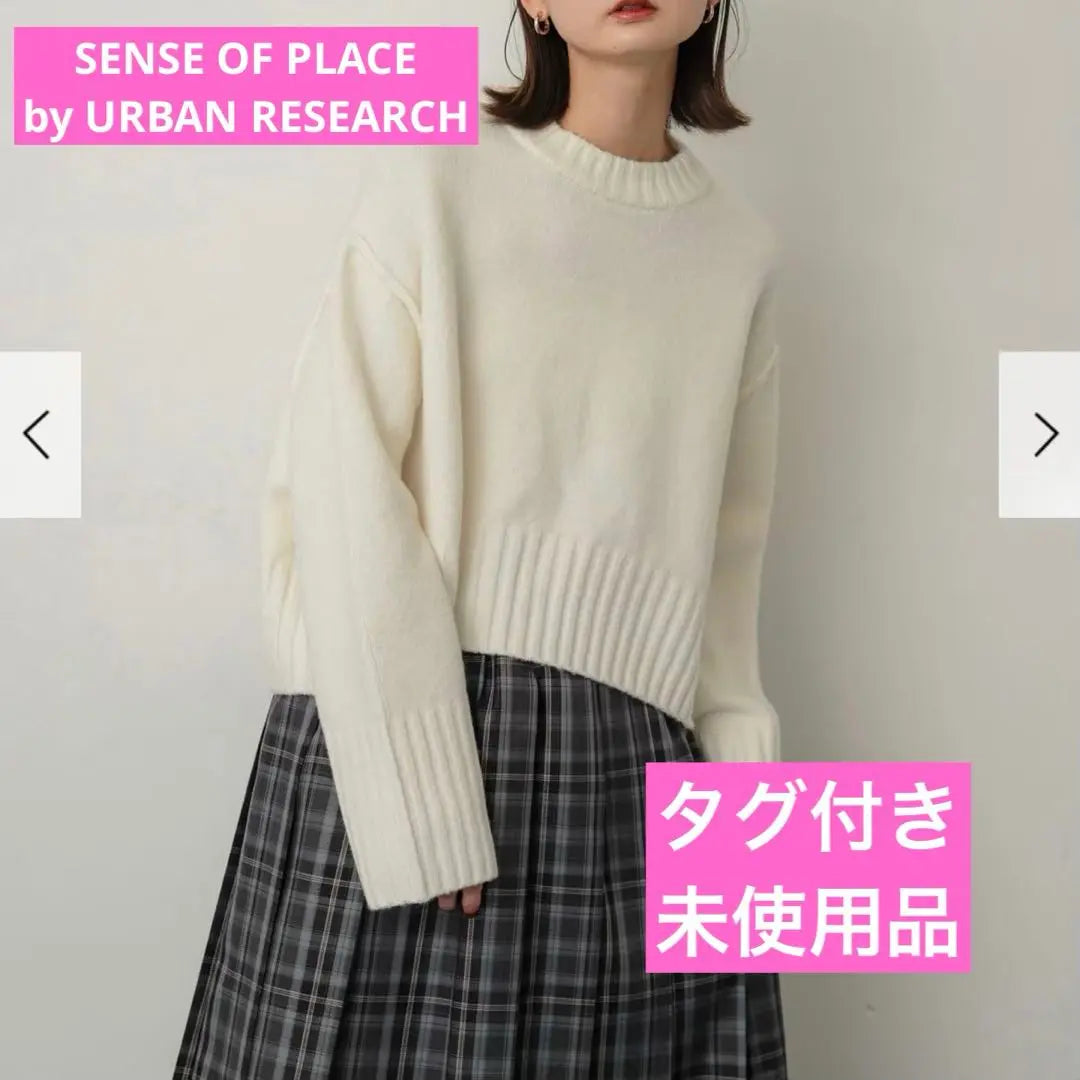 Sense of Place by Urban Research Wide Rib Crew Neck Sweater Knit