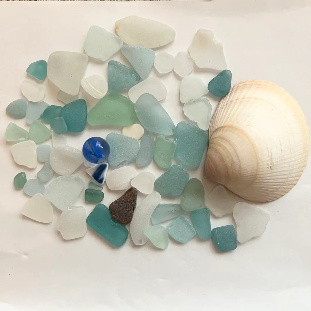 Natural Seagrass, Sea Pottery, Seashell Mix TM8