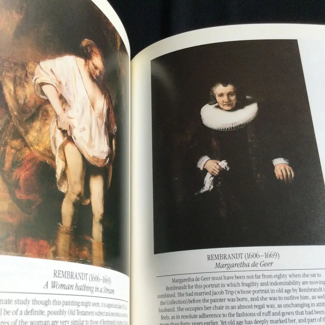 National Gallery London Art Books Foreign Books UK UK Paintings English Books Art