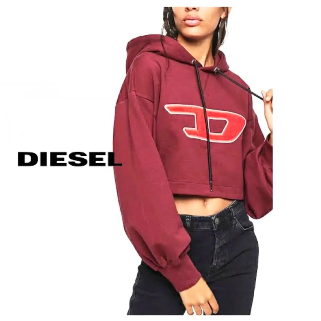 [Úselo solo una vez y en buenas condiciones] Sudadera con capucha Diesel con logotipo grande