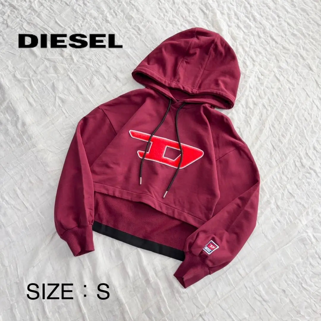 [Úselo solo una vez y en buenas condiciones] Sudadera con capucha Diesel con logotipo grande