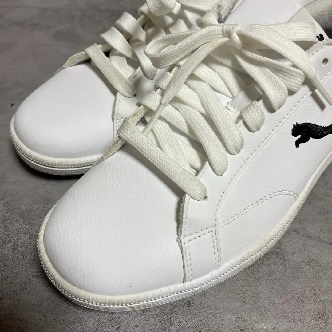 [Puma] (26) Smash Cat Sneakers White