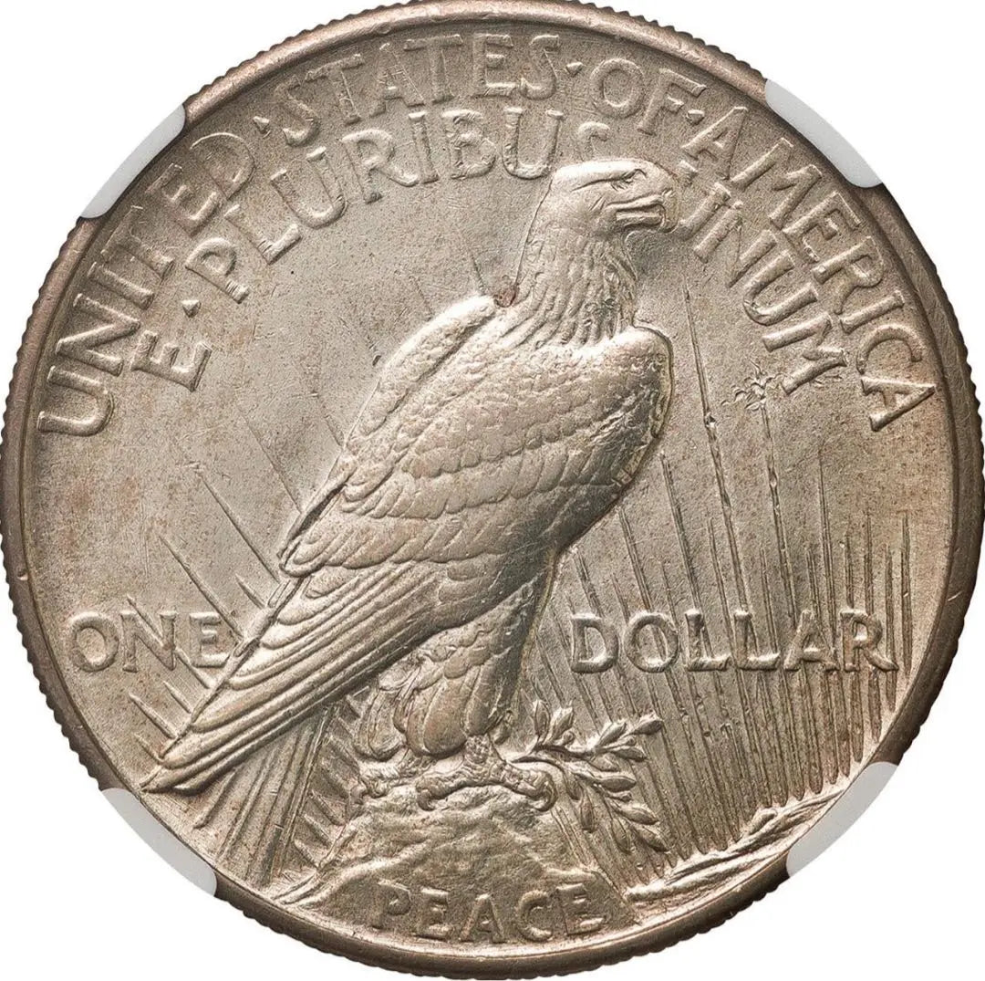 "NGC AU DETAILS" Peace Dollar High Relief Silver Coin (1921)