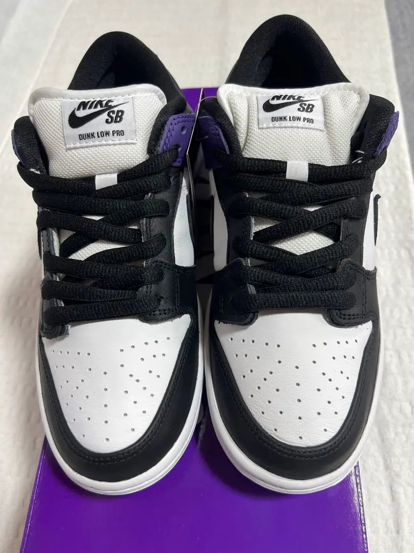 Nike SB Dunk Low Pro "Coat Purple"