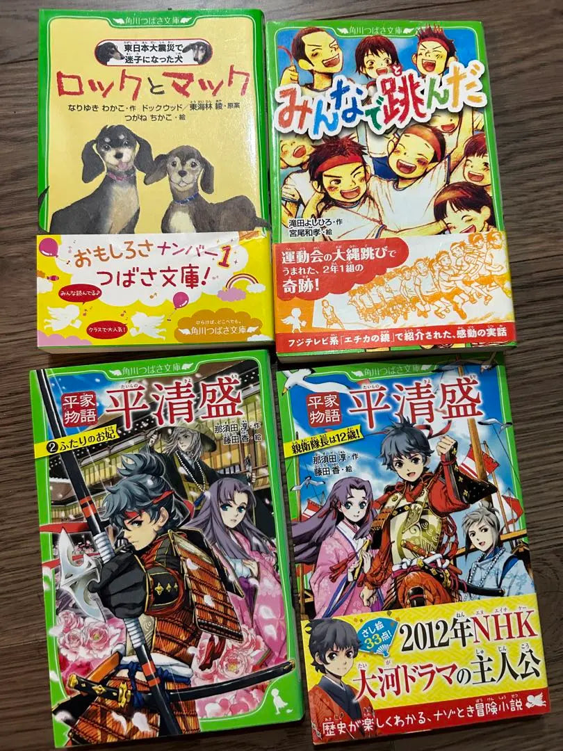 Venta al por mayor de novelas de Kadokawa Tsubasa Bunko, libros para niños