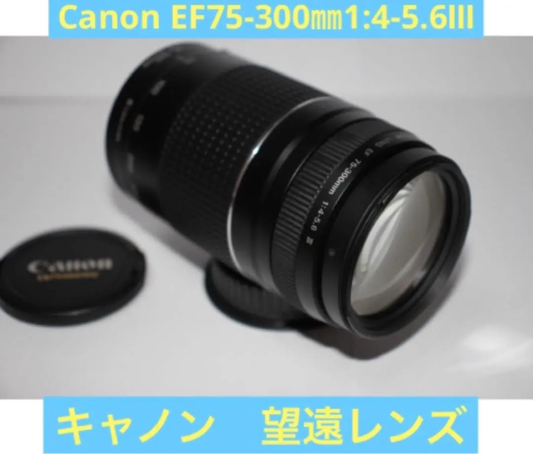 Telephoto lens/Canon/Canon EF75-300mm 1:4-5.6Ⅲ