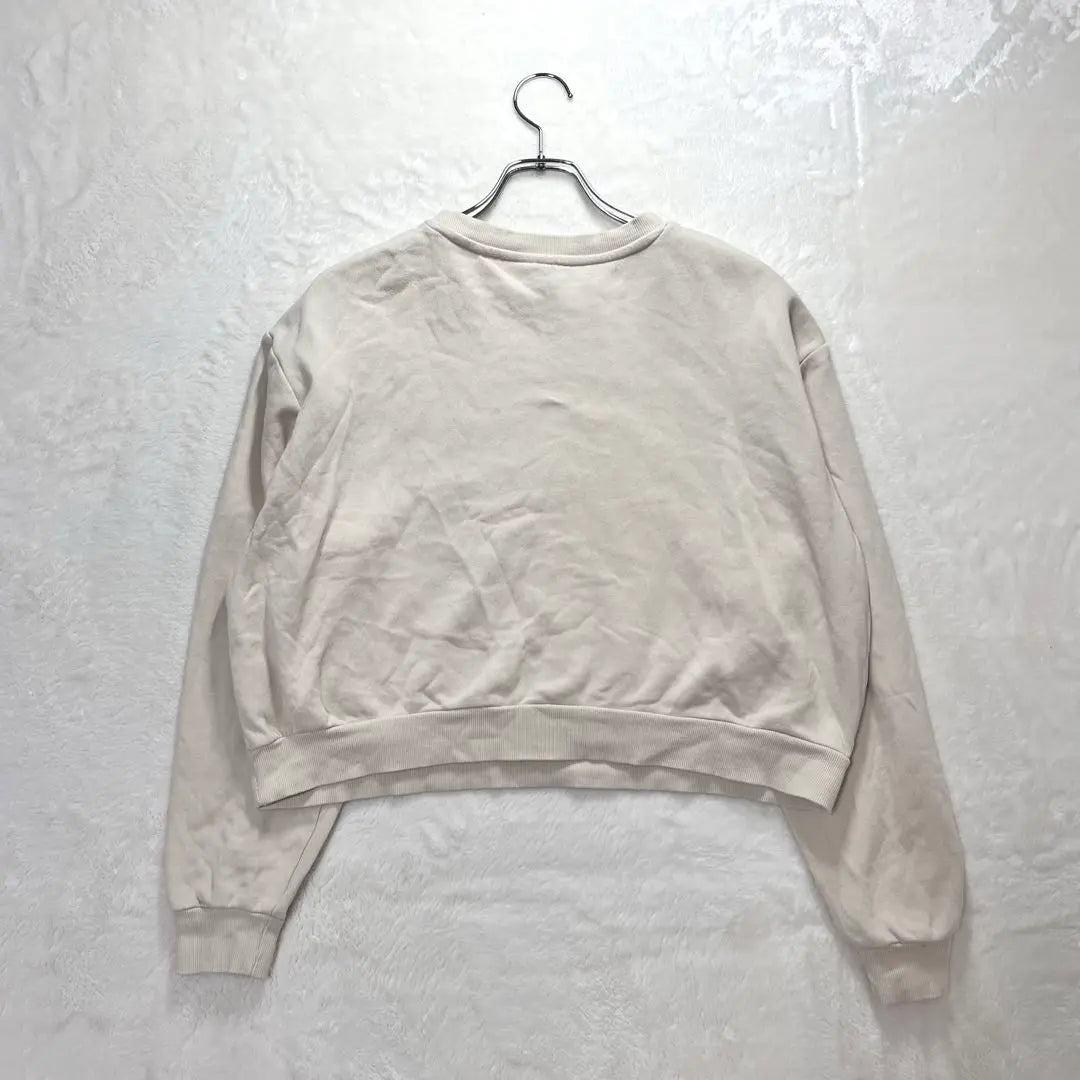 {H&M} Short length sweatshirt pullover with brushed lining