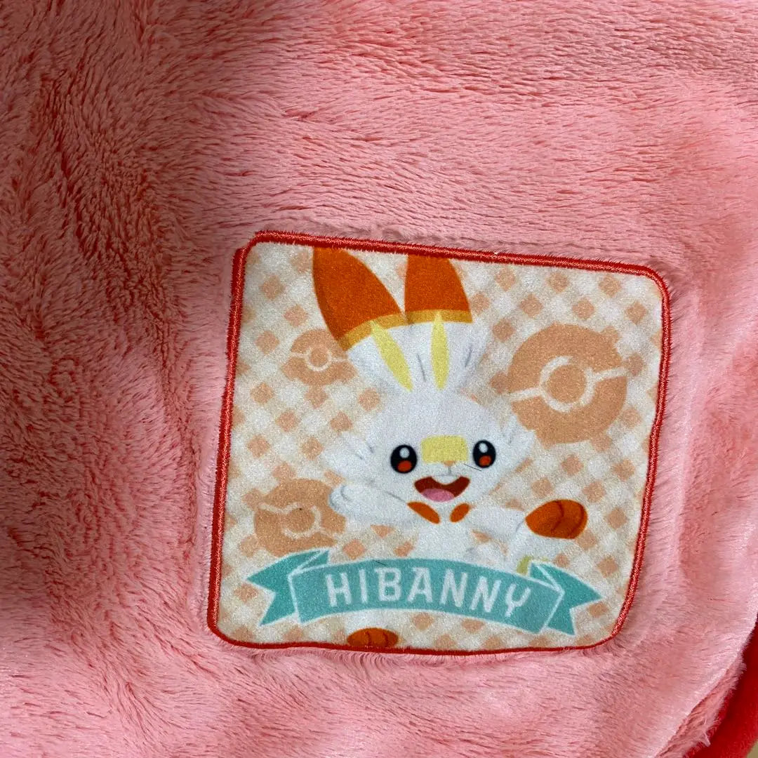 Pokécenter 2021 Lucky Bag Blanket