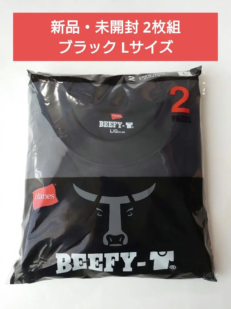 [New] Haynes BEEFY-T Beefy T-shirt, short sleeve, black, set of 2 L