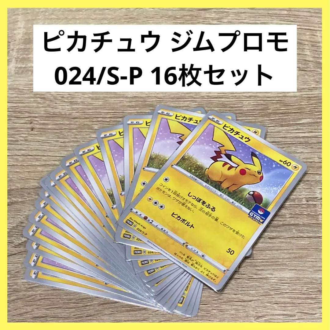 Promoción de gimnasio Pikachu 024/SP Juego de 16 cartas Pokémon