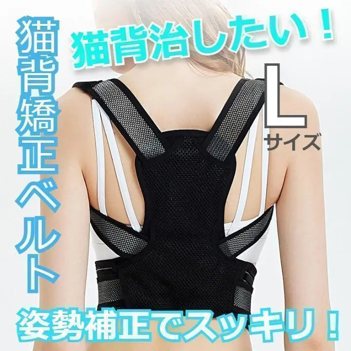 ★Popular & Special Price★Shut-back Relief, Slouch-back Response Belt, Back Pain, Headache, Neuralgia, Size L | ★人気＆特価★猫背解消　猫背矯正ベルト　腰痛　頭痛　神経痛　Lサイズ