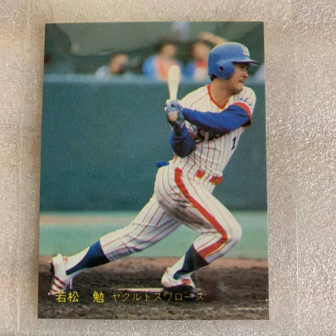 Tarjeta de béisbol profesional Calbee 1981 Yakult Swallows No. 270 Wakamatsu Tsutomu