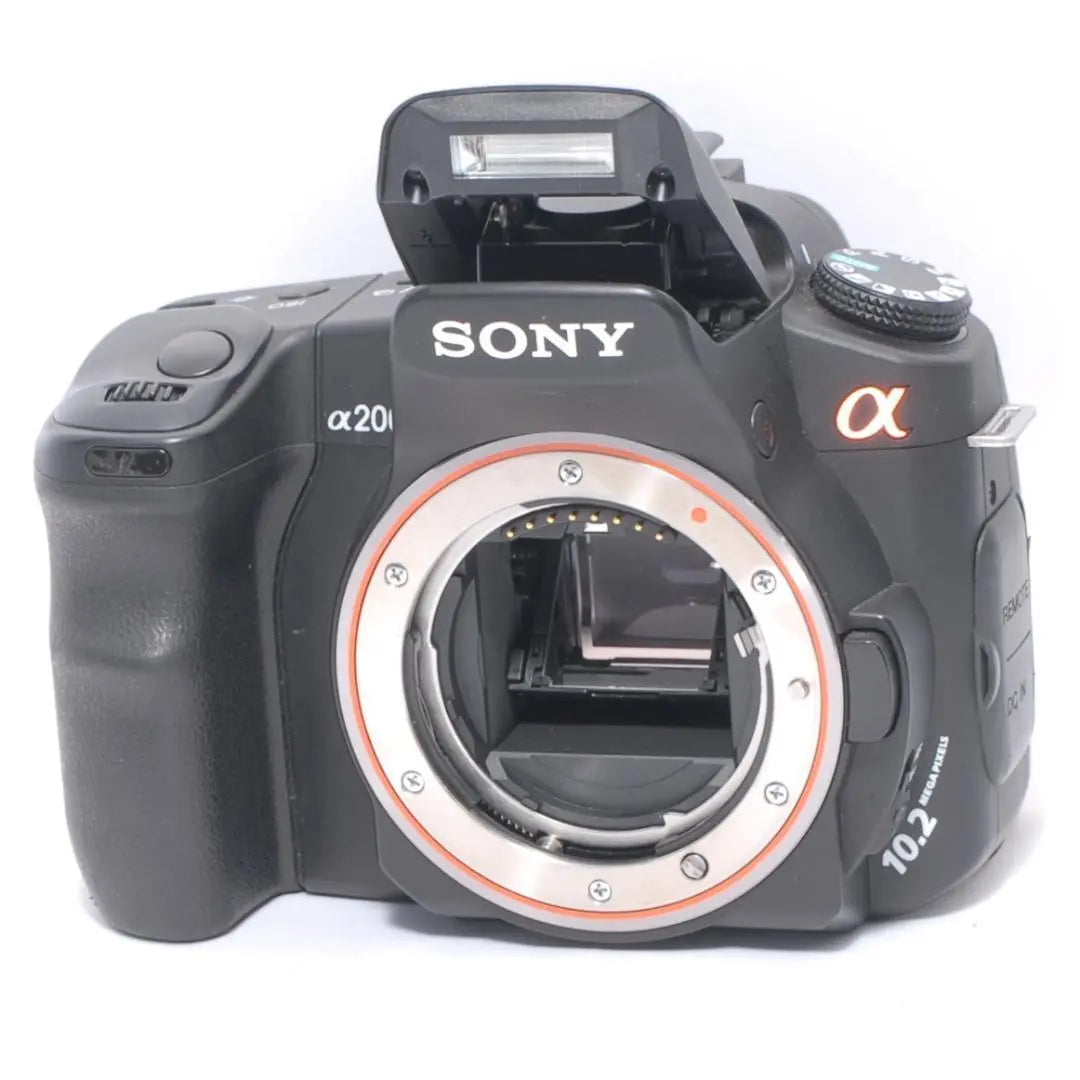 ★For an introductory SLR camera★SONY Sony α200 ♢♪First time at Sony♪♢