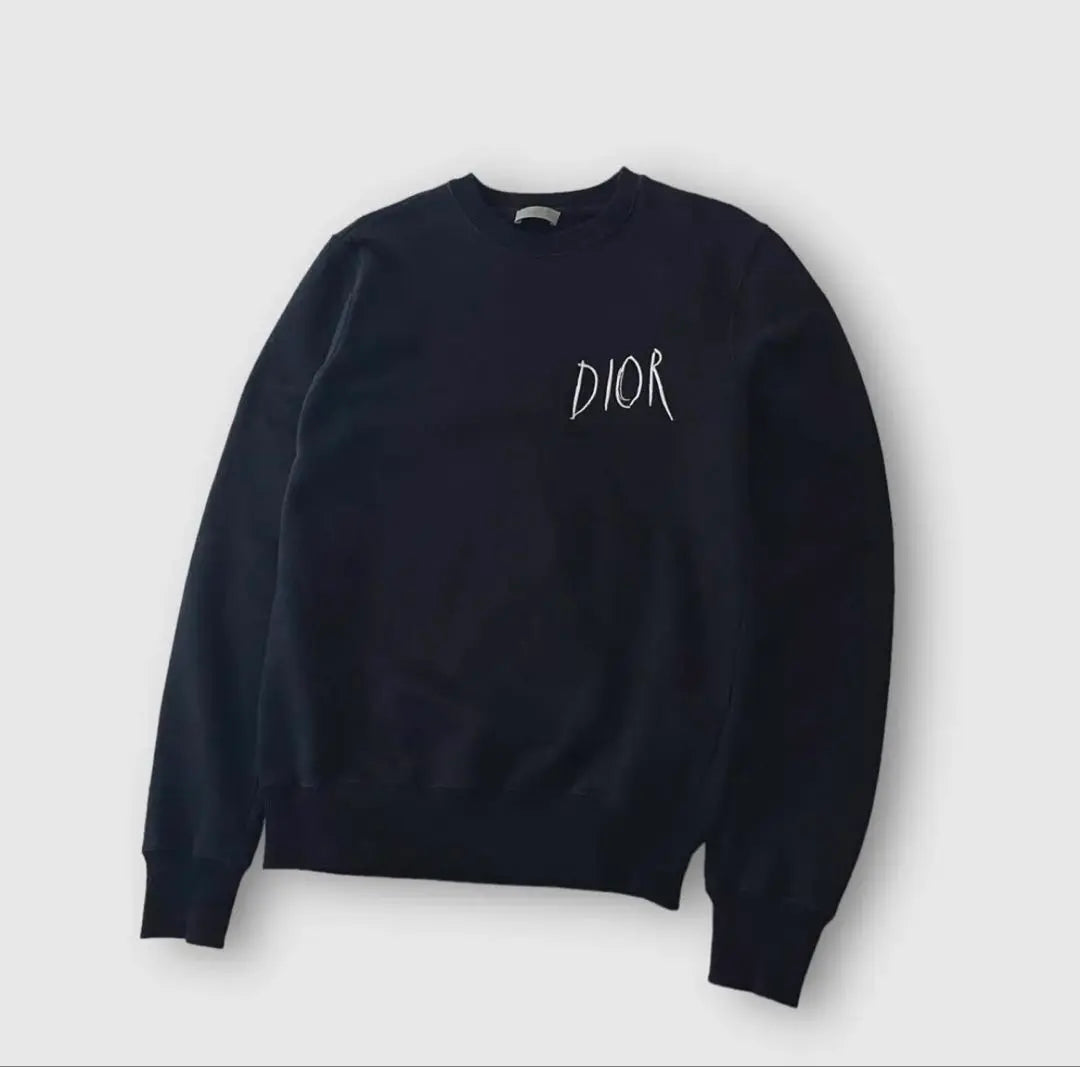 Official DIOR Pettibon Sweatshirt Sweatshirt