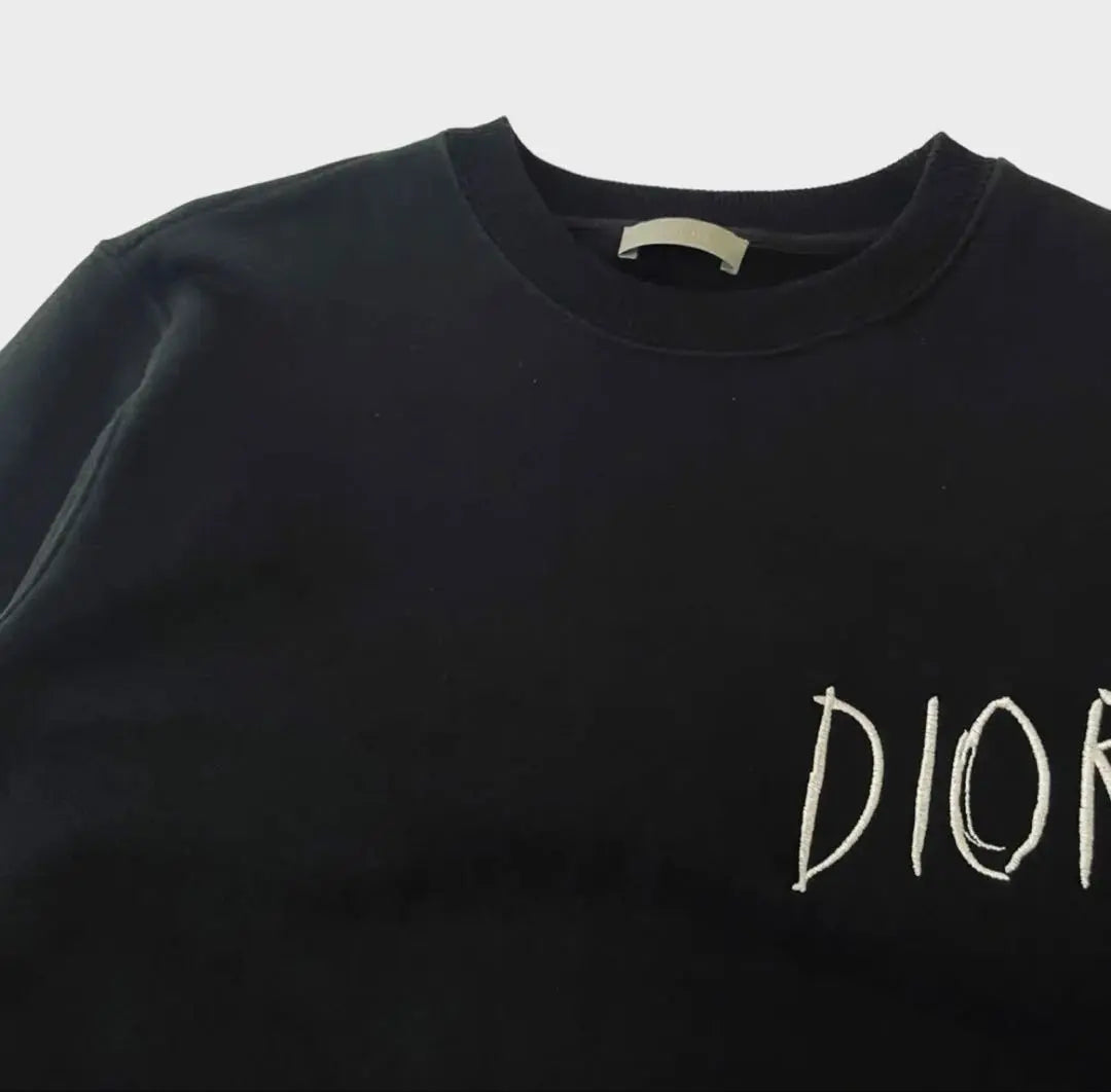 Official DIOR Pettibon Sweatshirt Sweatshirt