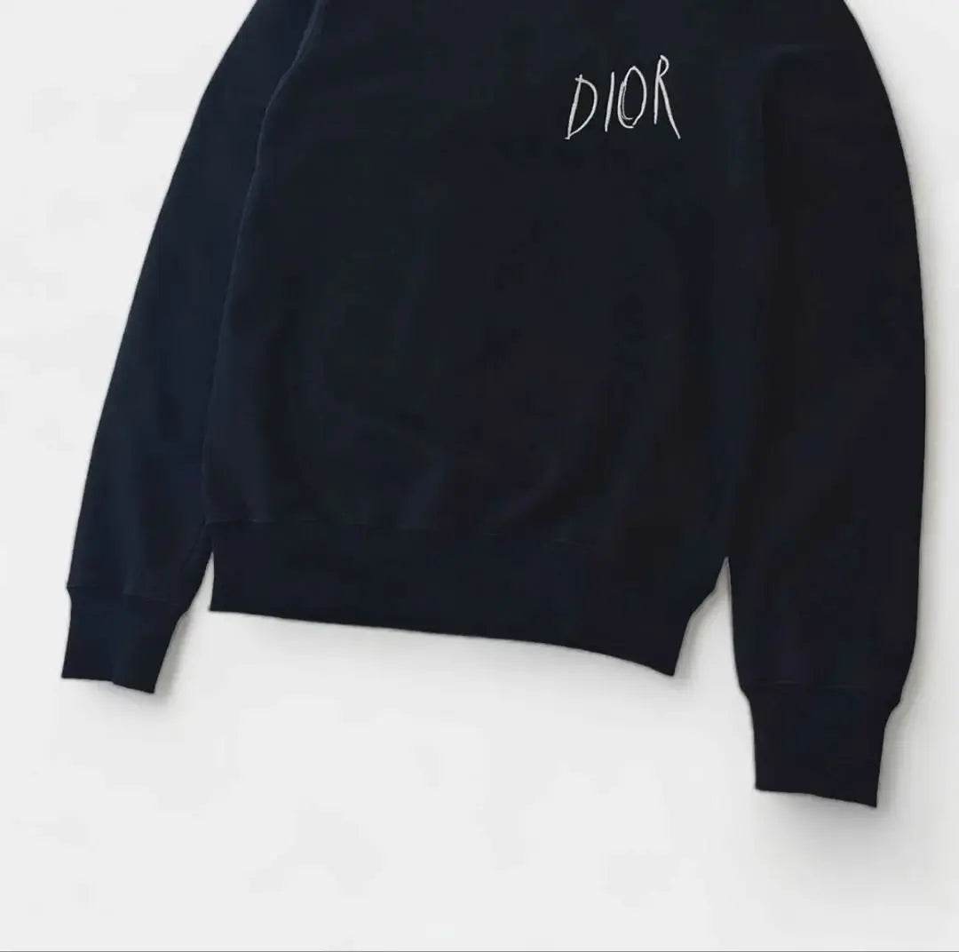 Official DIOR Pettibon Sweatshirt Sweatshirt