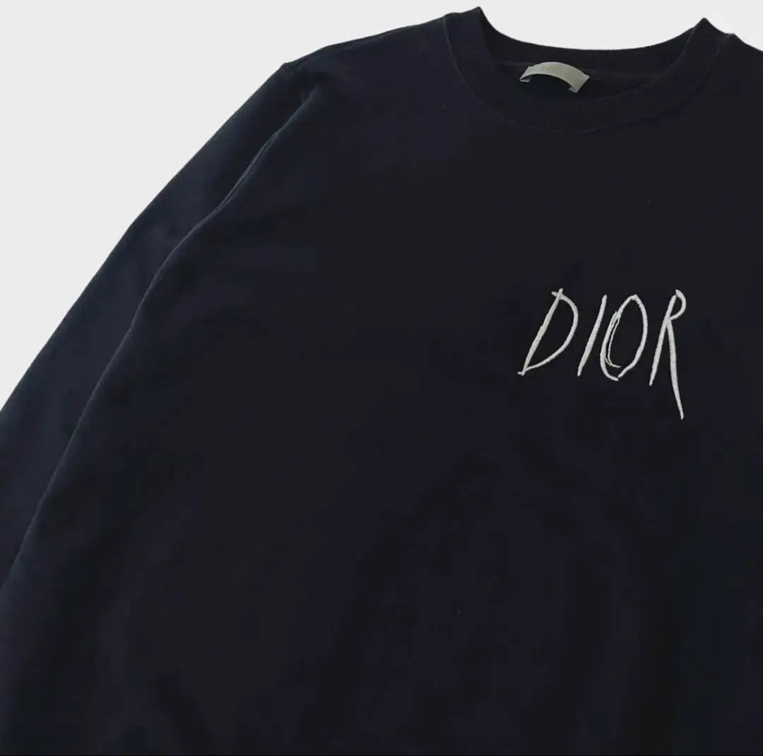 Official DIOR Pettibon Sweatshirt Sweatshirt