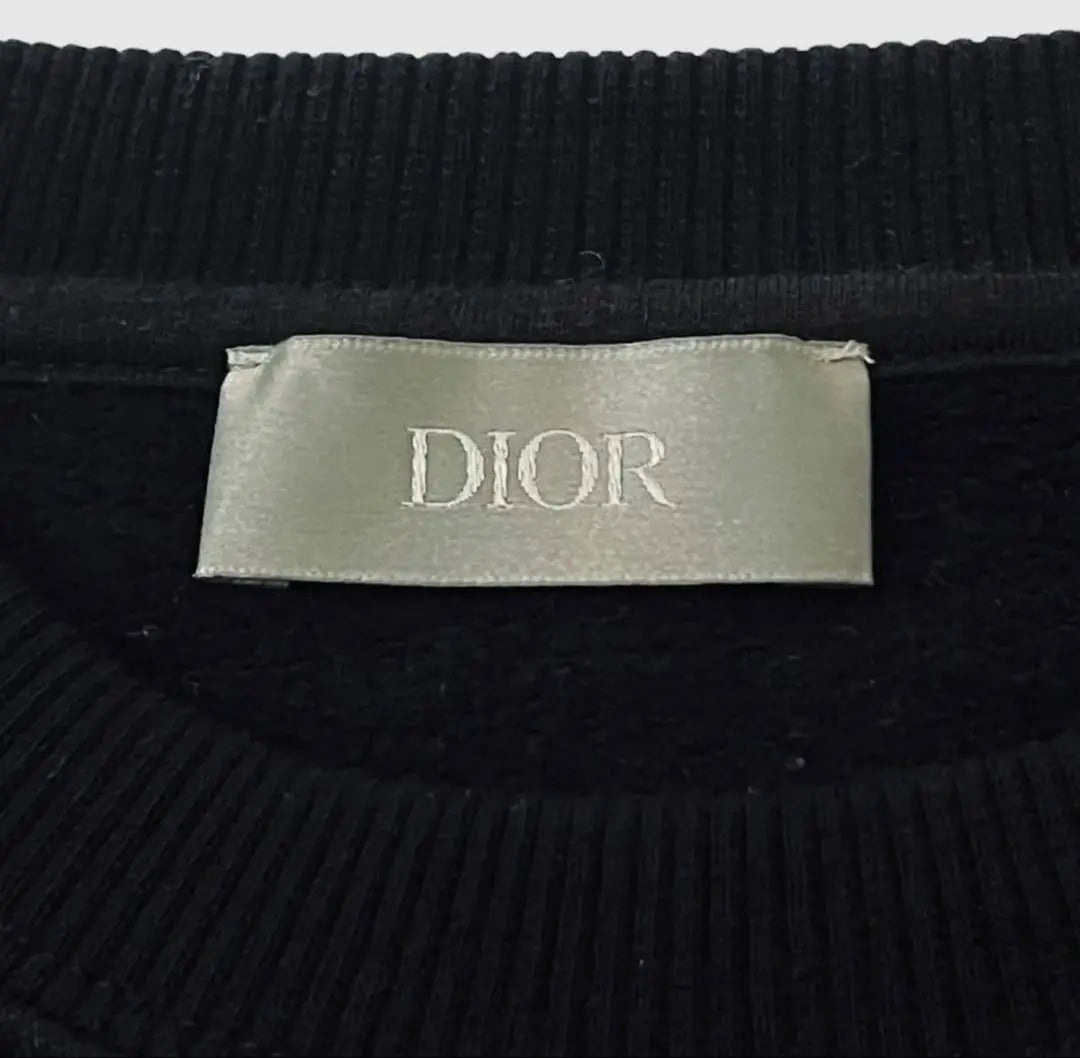 Official DIOR Pettibon Sweatshirt Sweatshirt