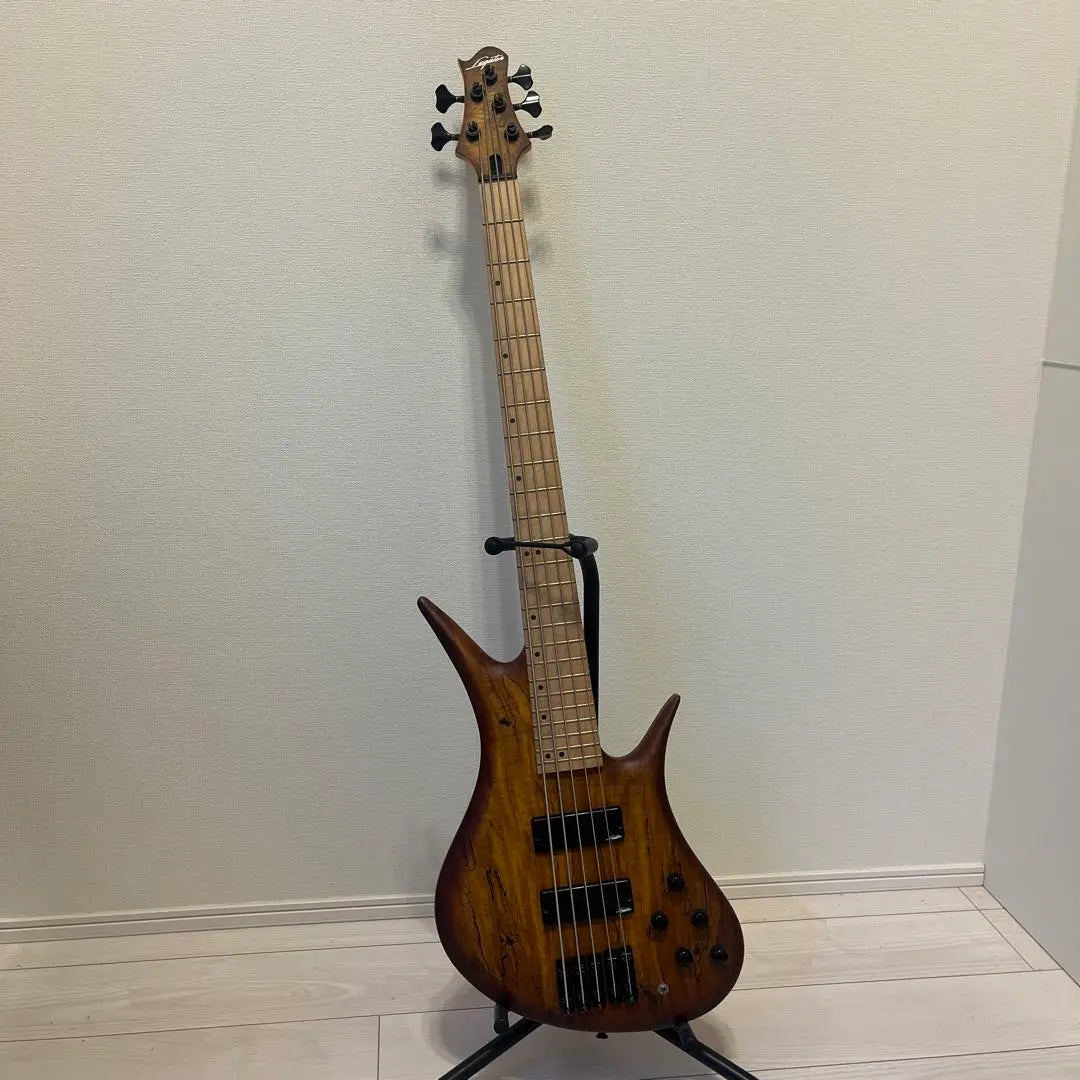 [Rare item] Legator 5-string bass case, belt, amplifier included