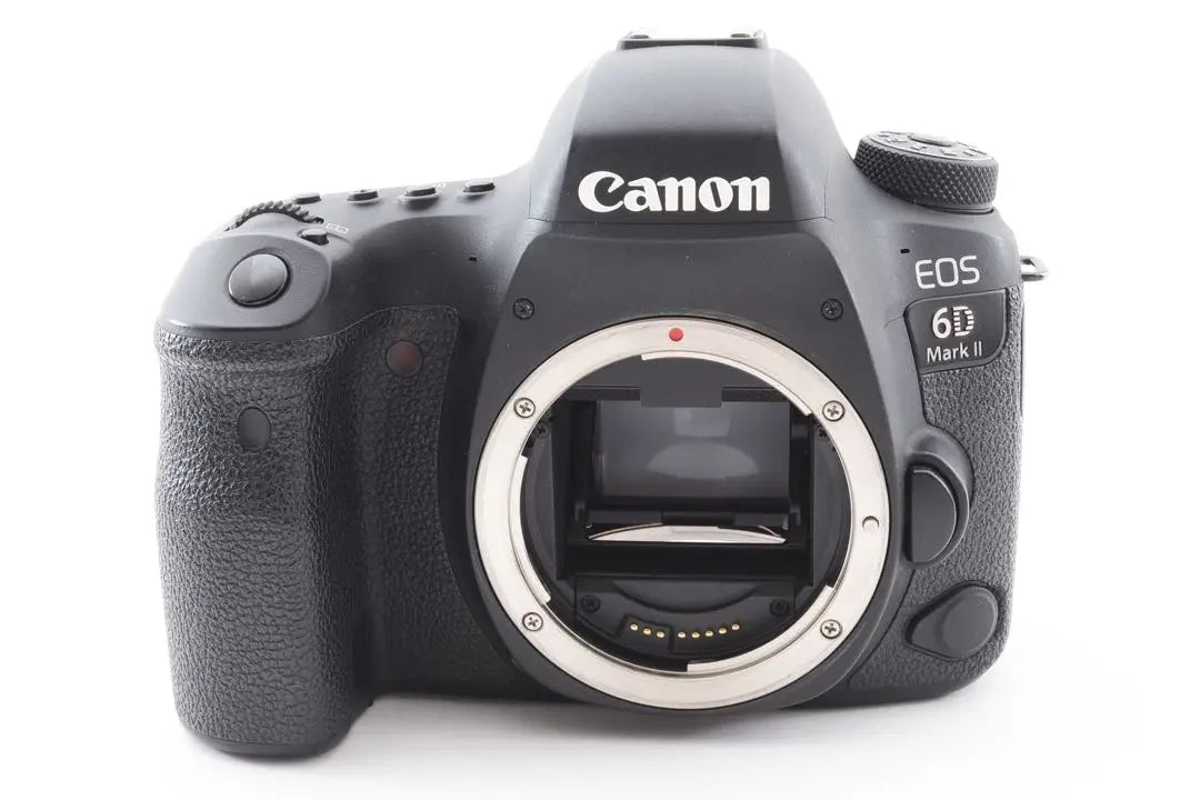 Reflective Camera Canon EOS 6D mark II Standard & Telephoto Double Lens Set