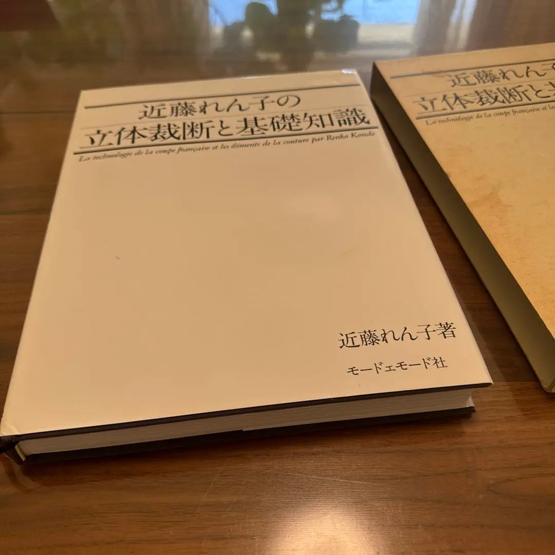 La expresión tridimensional y los conocimientos básicos de Renko Kondo