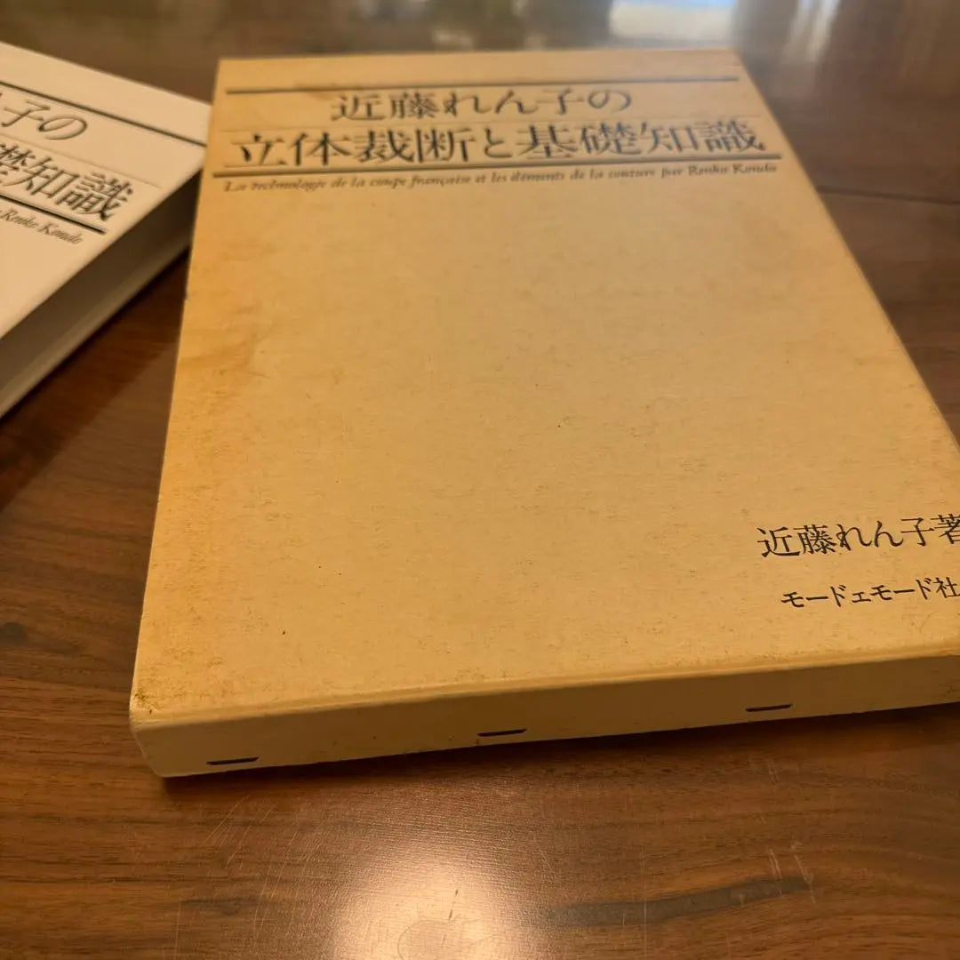 La expresión tridimensional y los conocimientos básicos de Renko Kondo