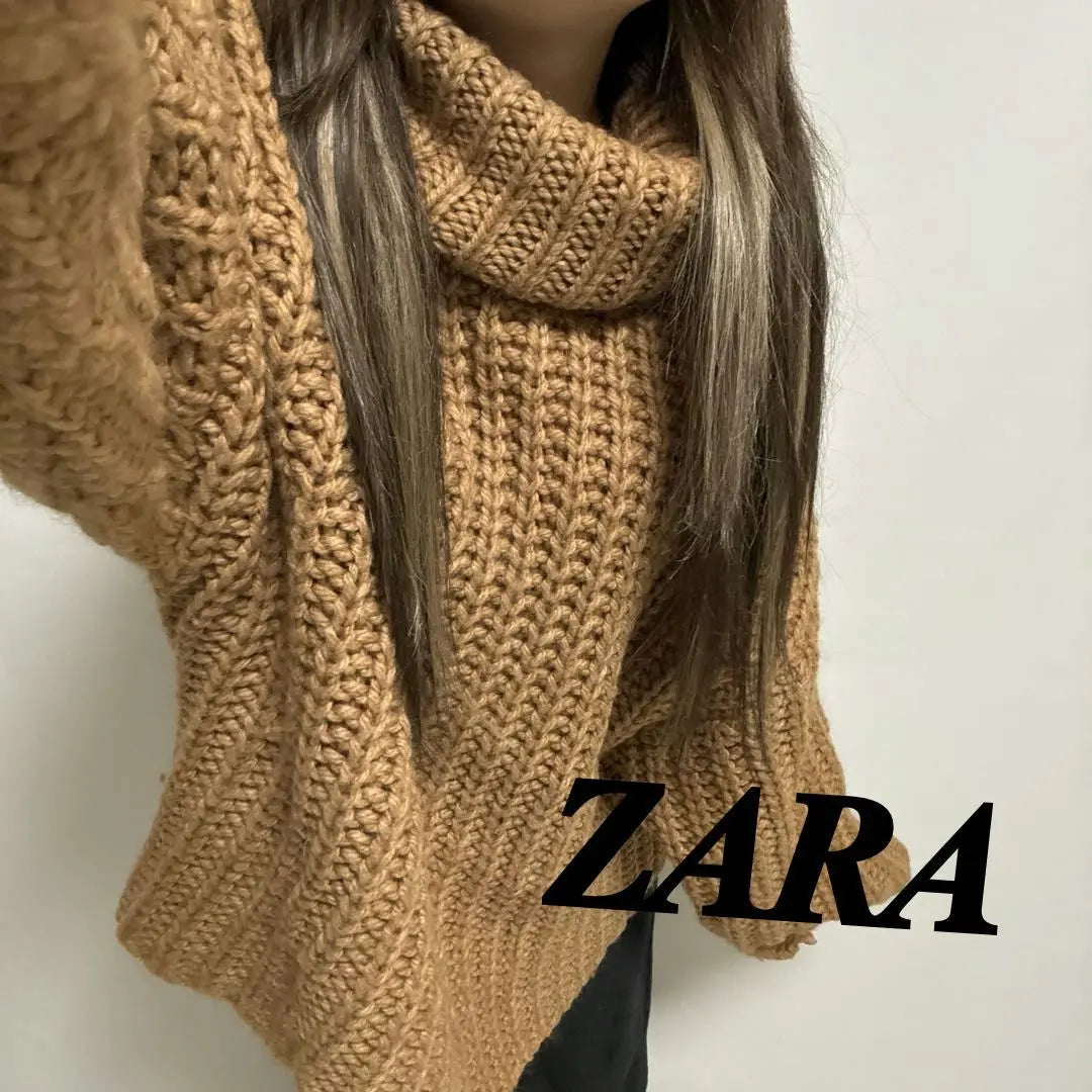 A10149♡ZARA♡Good condition☺︎︎Super cute oversized thick turtleneck knit