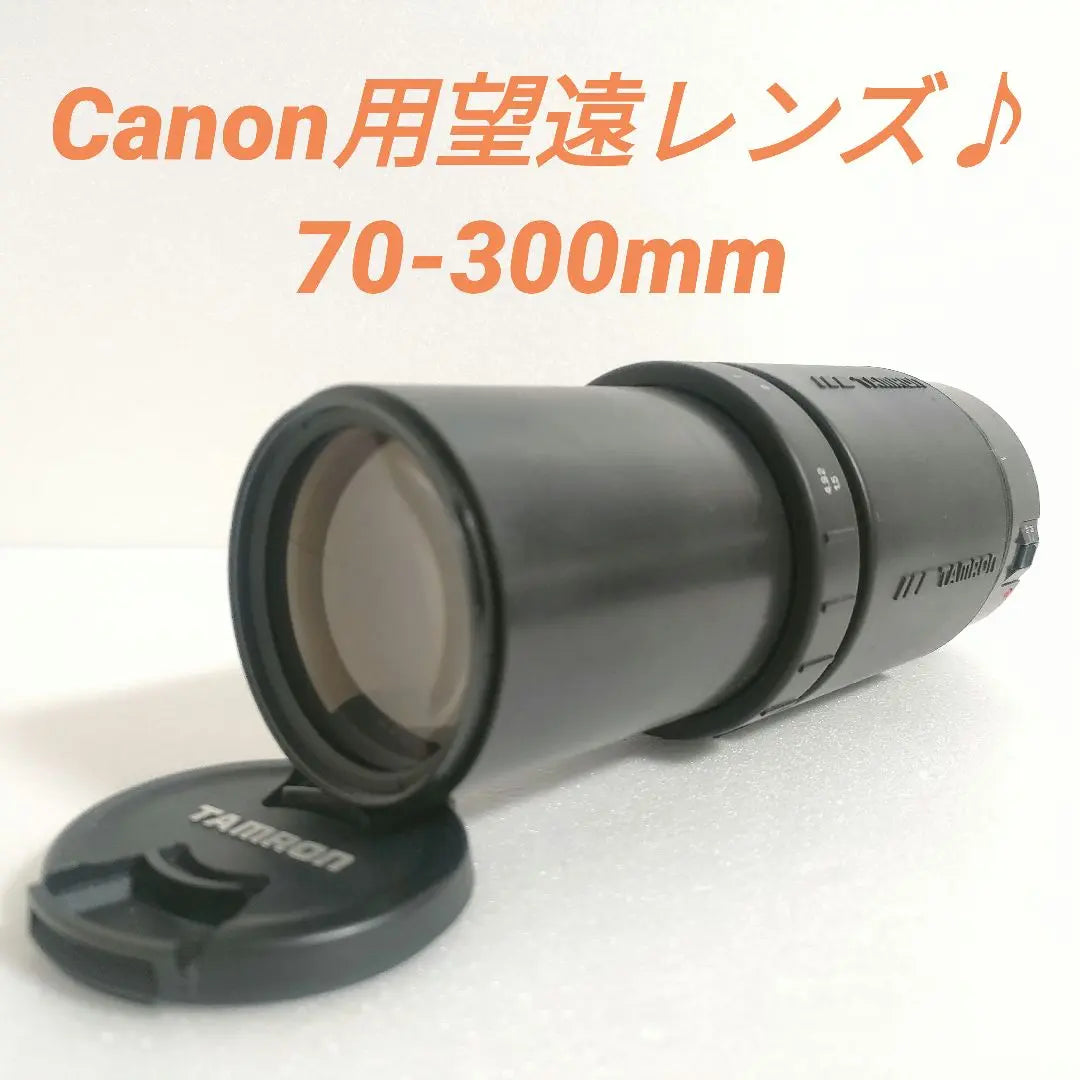 ☆ CANON Telephone Lens ☆ 70-300mm SLR camera replacement lens ♪