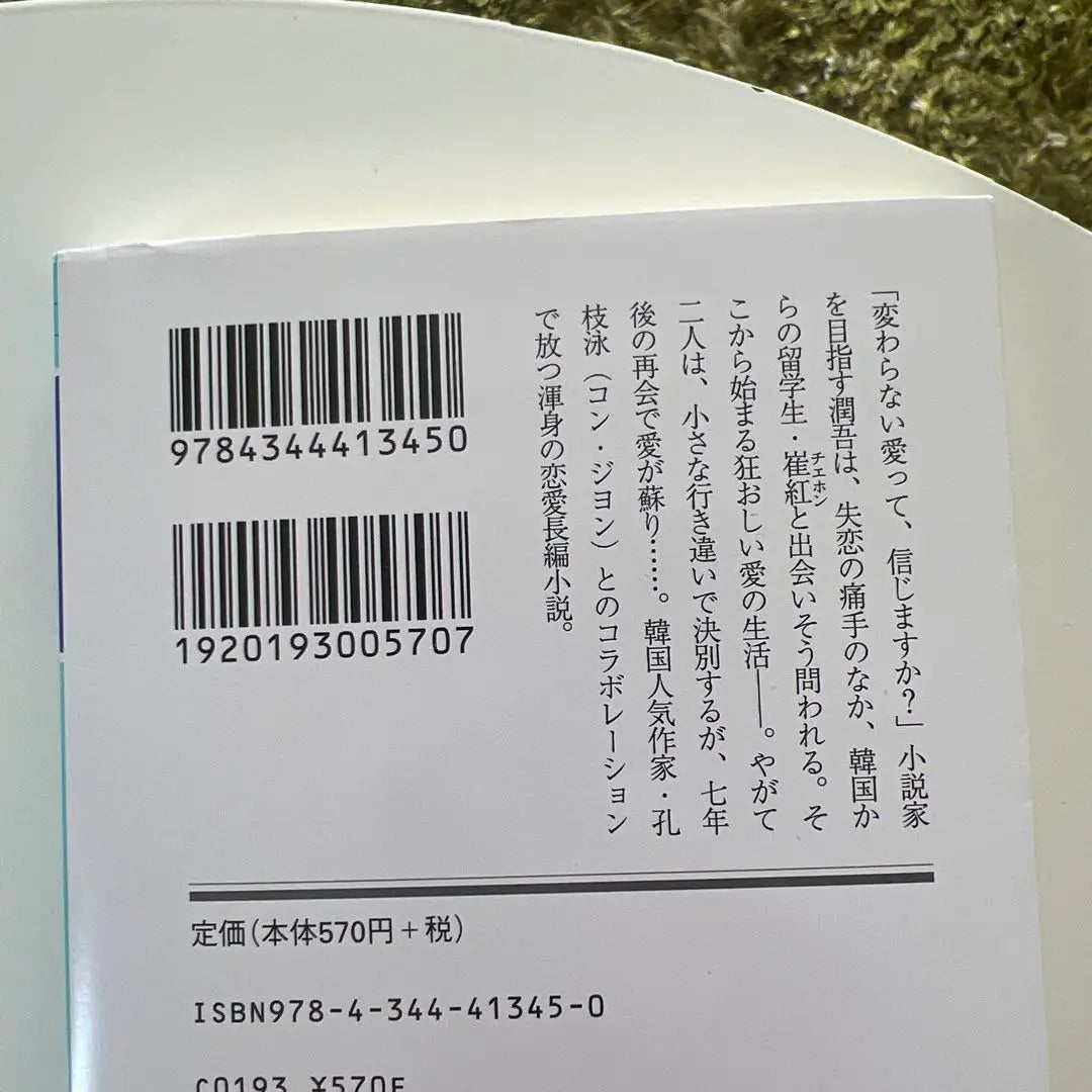 What comes after love Tsuji Hitoshinari | 愛のあとにくるもの 辻仁成