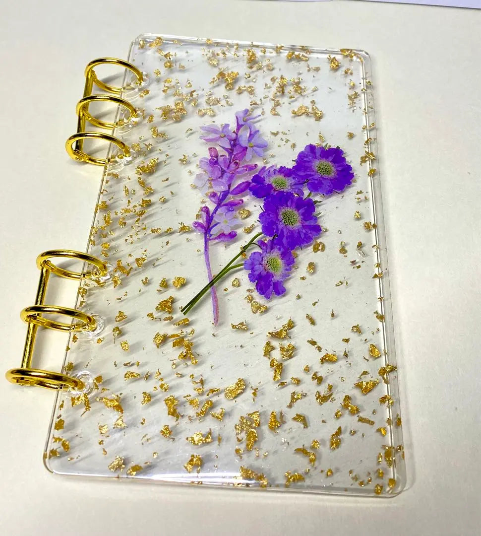 Resin binder {A6 size 6 holes}