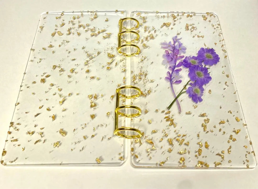 Resin binder {A6 size 6 holes}