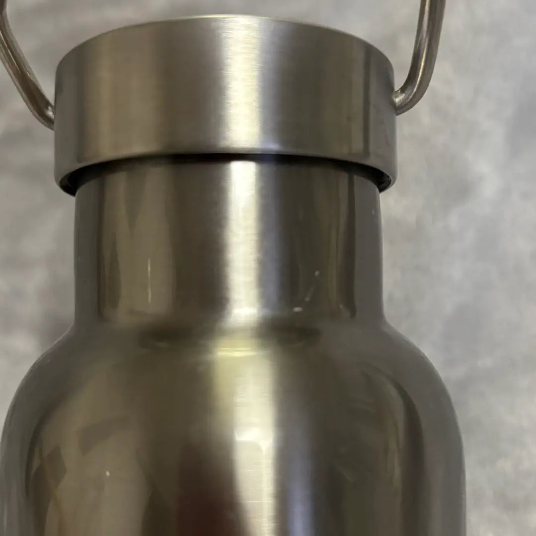 DEAN & DELUCA Stainless Steel Water Bottle with Handle