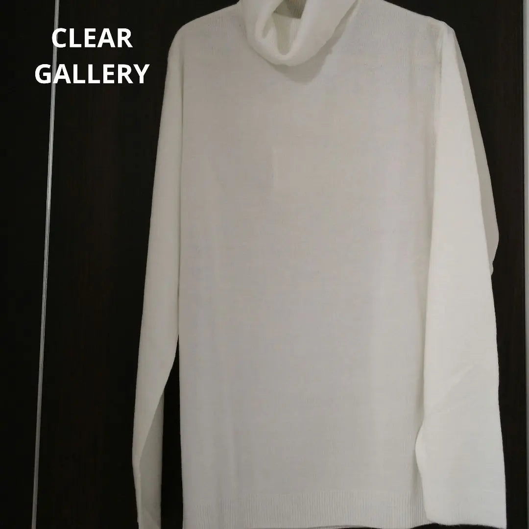 New unused [Clear Gallery] Men's Turtle neck sweater