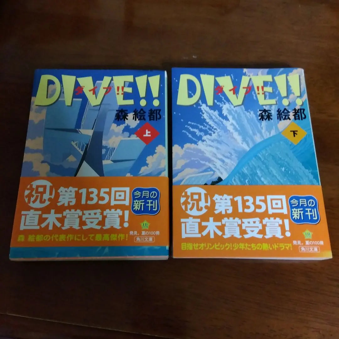 Dive top and bottom set