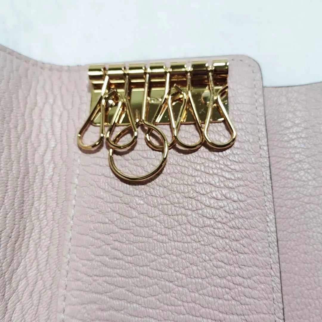 Chloé Pink leather key case gold 6 rows