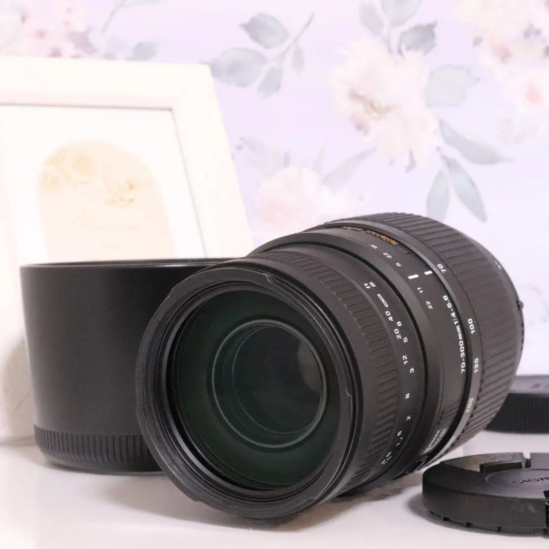 Multi-purpose telephoto lens ☆ Sigma 70-300mm MACRO Pentax ♡