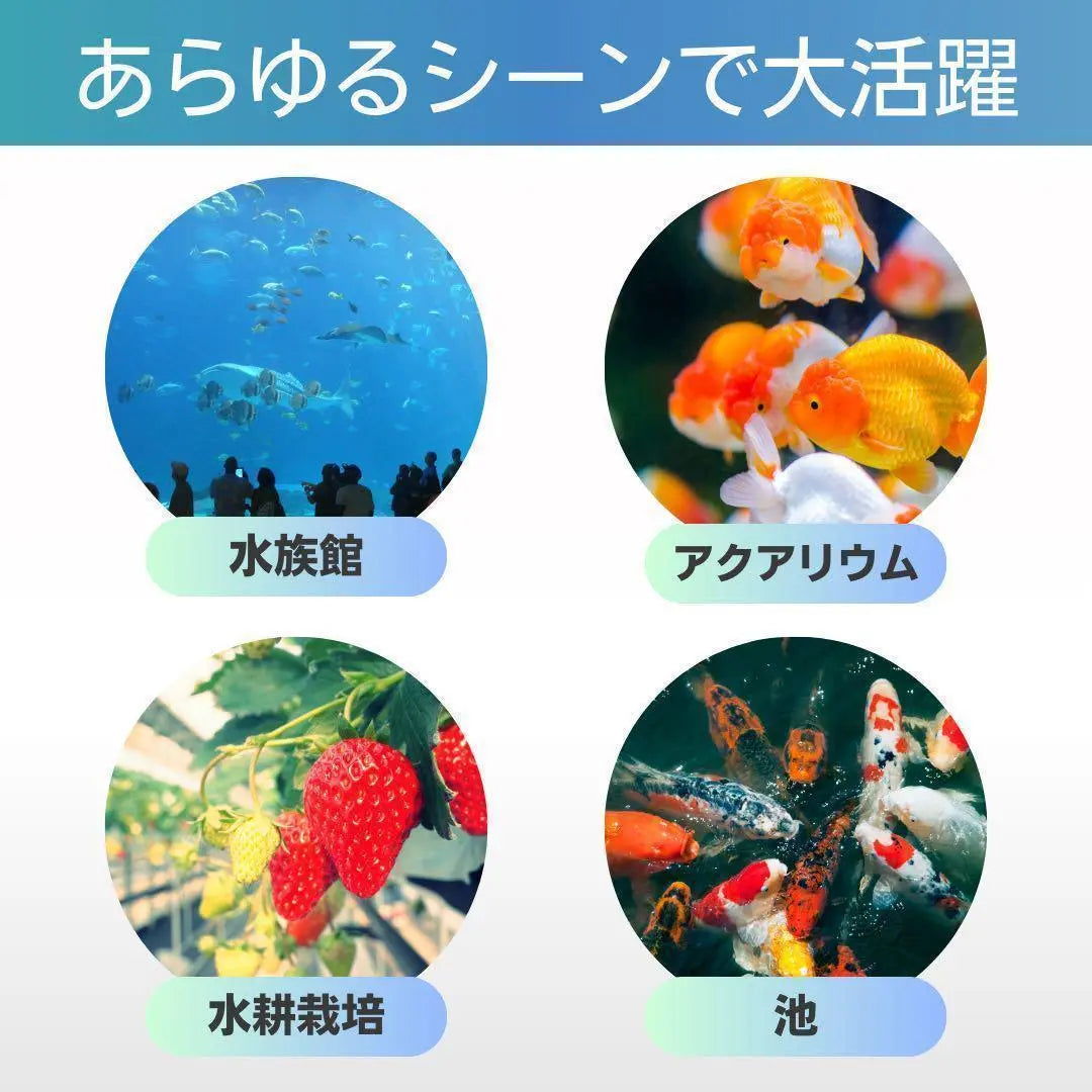 Acuario Airstone Bukuboku Acuario Peces tropicales Hidroponía Gris φ50 15 piezas