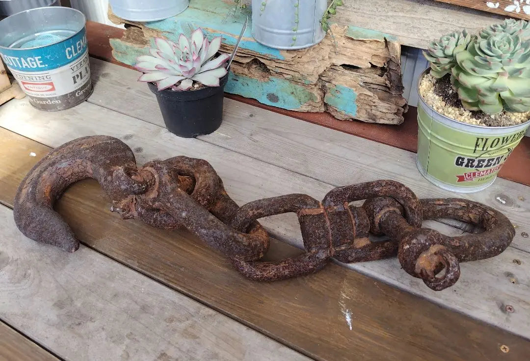 [Rust rust chain hook] Junk garden Dry garden Succulent